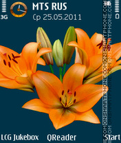 Lily theme screenshot