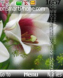 White Flower tema screenshot