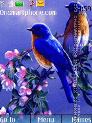 Nature Birds tema screenshot