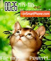 Cat 04 tema screenshot