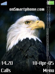 Скриншот темы Eagle