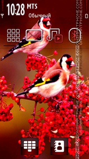 Birds 06 tema screenshot