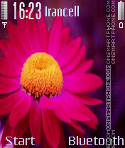 Flower 2 Theme-Screenshot