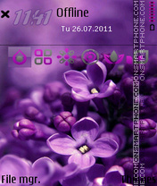 Purple Orchid tema screenshot