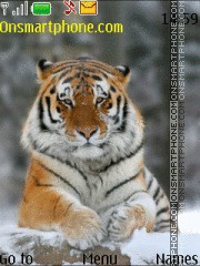 Скриншот темы Tiger