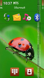 Ladybug 02 tema screenshot