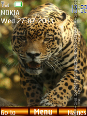 Leopard 06 es el tema de pantalla