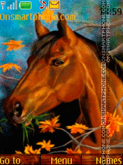 Horse Theme-Screenshot