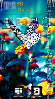 Скриншот темы Butterfly 26