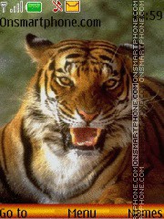 Capture d'écran Tiger grin thème