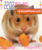 I Love Hamster theme screenshot