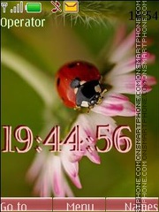 ladybird swf es el tema de pantalla