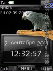 Parrots In Grey By ROMB39 theme screenshot