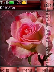 Pink roses tema screenshot