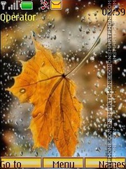 Autumn rain tema screenshot