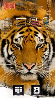 Скриншот темы Tiger Abstract