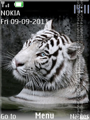 Tiger 43 tema screenshot