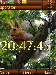 Squirrels swf Theme-Screenshot