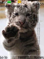 Скриншот темы Tiger Cub 01