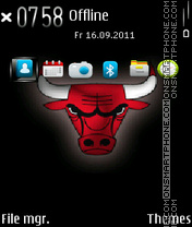 Chicago Bull tema screenshot