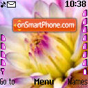 Lavanda theme screenshot