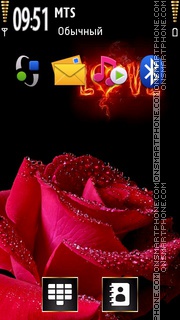 Rose 06 tema screenshot