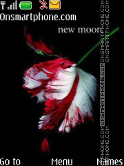 Скриншот темы New Moon 12