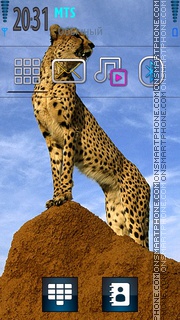 Cheetah 05 tema screenshot