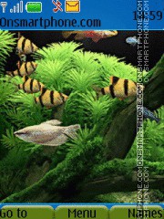 Capture d'écran Aquarium thème