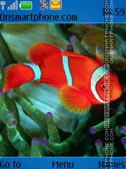 Clown fish tema screenshot