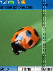 Ladybird es el tema de pantalla