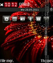 Red flower 05 tema screenshot