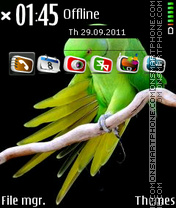 Parrot 09 tema screenshot