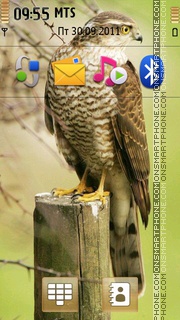 Hawk theme screenshot