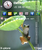 Capture d'écran Frog thème
