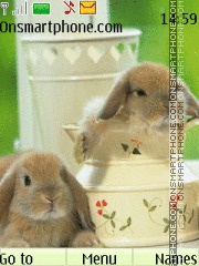 Cute Rabbit2 es el tema de pantalla