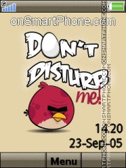 Скриншот темы Angry Birds Dont Disturb Me