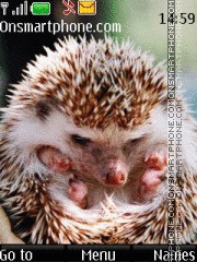 Скриншот темы Hedgehog 05