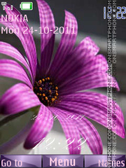 Purple Flash tema screenshot