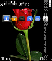 Скриншот темы Nice Red Rose