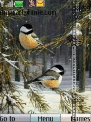 Winter Birds tema screenshot