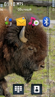 Buffalo es el tema de pantalla