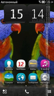 Colorful Parrots tema screenshot