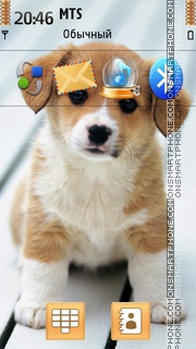 Little Dog 02 tema screenshot