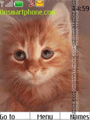 Скриншот темы Curious Red Kitten