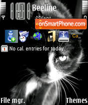 Capture d'écran The Black Cat thème