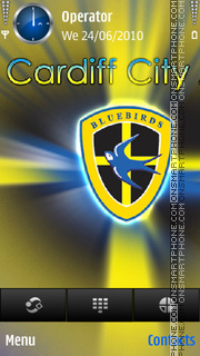 Cardiff City FC theme screenshot