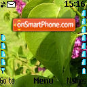 Tema2 theme screenshot