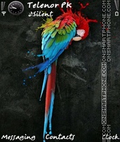 Lovely parrot tema screenshot