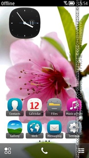 Blossom 05 tema screenshot